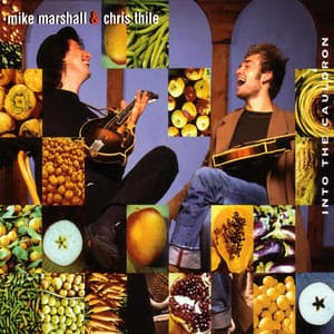 Into The Cauldron - Chris Thile