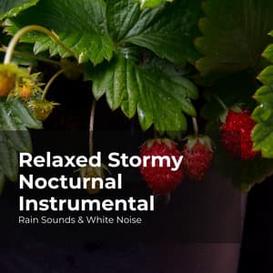 Relaxed Stormy Nocturnal Instrumental - Rain Sounds & White Noise