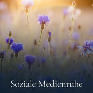Soziale Medienruhe - Zen Buddhismus Regeneration Sammlung