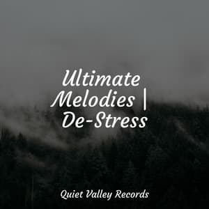 Ultimate Melodies | De-Stress - Sound Healing Center