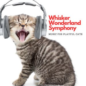Whisker Wonderland Symphony: Music For Playful Cats - Solitude Beats