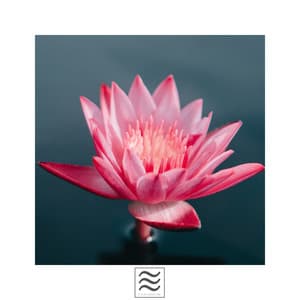 Plain White Noise - Noise Library