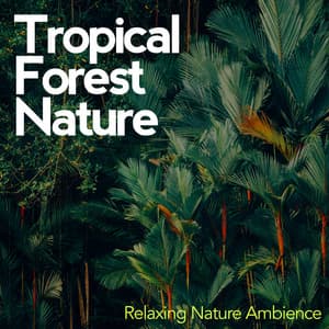 Tropical Forest Nature - Relaxing Nature Ambience
