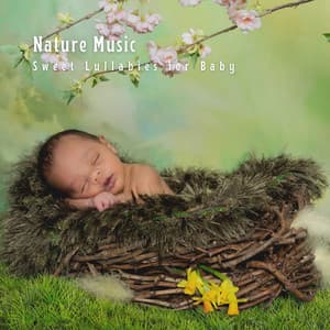 Nature Music: Sweet Lullabies for Baby - Echoes of Life