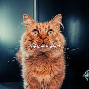 ハッピーキャッツ - Jazz Sleeping Music