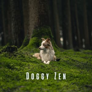 Doggy Zen: Relaxing Melodies for a Happy Pup - Doggy Music Radio