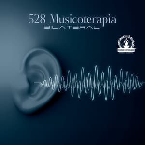 528 Musicoterapia Bilateral: Tons Binaurais para Alívio do Estresse e Ansiedade, Sessão de Música Ultra Calma - Meditação Espiritualidade Musica Academia