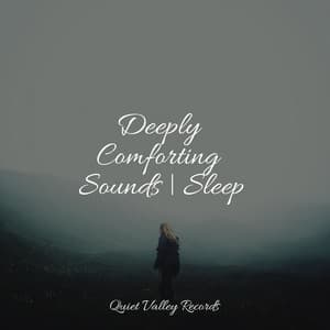 Deeply Comforting Sounds | Sleep - Sounds Of Rain & Thunder Storms
