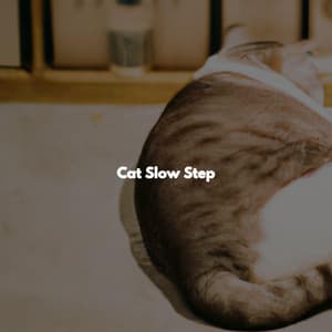 Cat Slow Step - Hotel Lounge Zone