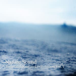 Nature Sound: Torrential Rain and Windstorm Vol. 1 - Natures Acoustics