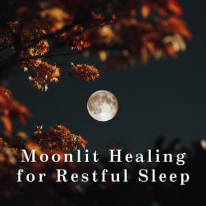 Moonlit Healing for Restful Sleep - Relax α Wave