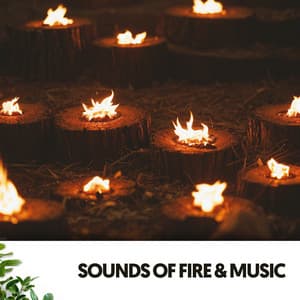 Sonidos de Fuego y Música: Brasas en harmonia - Ruido Blanco Hart