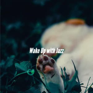 Wake Up with Jazz - Dog Jazz Playlists