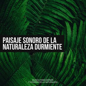 Paisaje Sonoro de la Naturaleza Durmiente - Musica Para Dormir y Sonidos de la Naturaleza