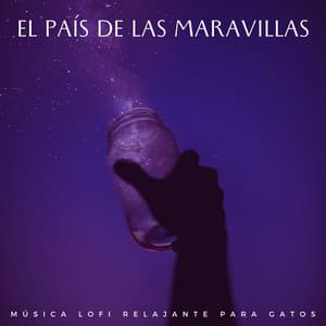El País De Las Maravillas: Música Lofi Relajante Para Gatos - Relájate Hip Hop