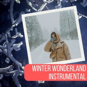 Winter Wonderland Instrumental - Christmas Songs Remix