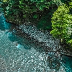 Streamside Serenity: Aquatic Artistry of Peace - Heart of Fjorgyn