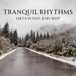Tranquil Rhythms: Theta Waves, Rain Sleep - Calm Sleep Rain Sound