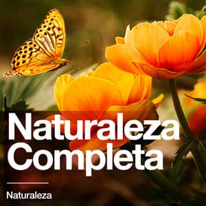 Naturaleza Completa - Naturaleza