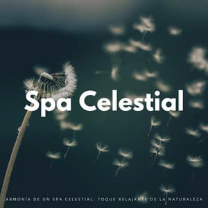 Armonía De Un Spa Celestial: Toque Relajante De La Naturaleza - Flor de Loto