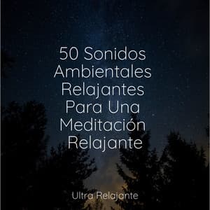 50 Sonidos Ambientales Relajantes Para Una Meditación Relajante - Sons da Natureza Relax