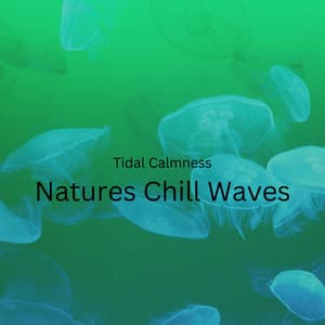 Tidal Calmness: Natures Chill Waves - Calming Waves Consort
