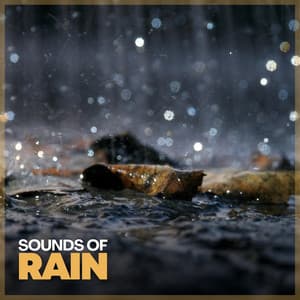 Sounds of Rain - Rainforest Sounds