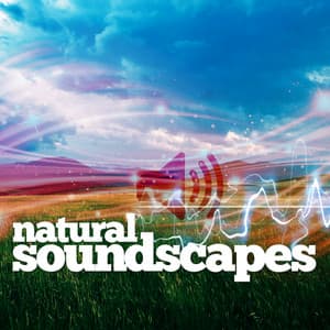 Natural Soundscapes - Sounds Of Nature