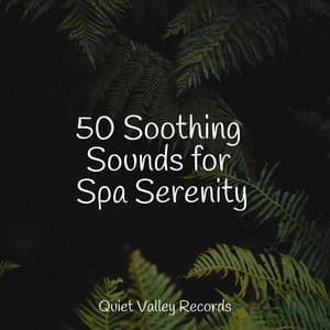 50 Soothing Sounds for Spa Serenity - Sounds of Nature White Noise Sound Effects