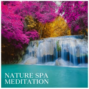 Nature Spa Meditation: Relaxing Spa Music Therapy for Stress Relief, Peaceful Atmosphere for Yoga and Relaxation - Spa Experience Chill