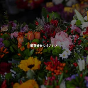 観葉植物のオアシス - Soft Jazz Mood