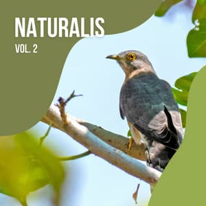 2022 Naturalis Vol. 2 - 101 Nature