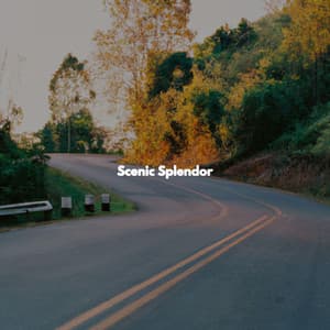 Scenic Splendor - Soft Cafe Lounge