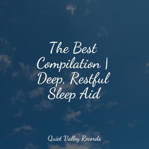 The Best Compilation | Deep, Restful Sleep Aid - Tinnitus
