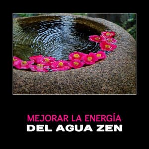 Mejorar la Energía del Agua Zen - Calmante Zona de Spa