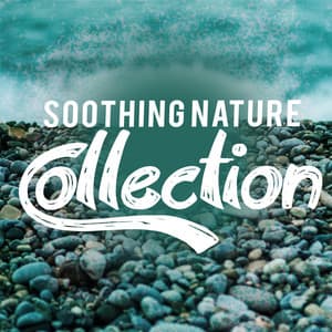 Soothing Nature Collection - Sounds of Nature for Deep Sleep and Relaxation