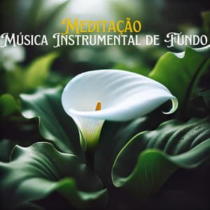 Meditação - Música Instrumental de Fundo – Hang Drum, Flauta, Lira, Ondas, Chuva, Vento, Rio, Mar, Harpa, Piano, Guzheng, Hotchiku, Sitar, Tambores - Meditação e Espiritualidade Musica Academia