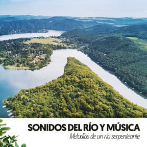 Sonidos del río y música: Melodías de un río serpenteante - Relajacion