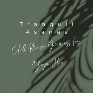 Tranquil Asanas: Chill Music Journeys for Yoga Flow - Niigata
