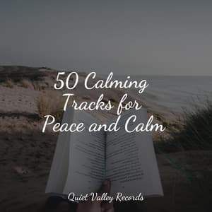 50 Calming Tracks for Peace and Calm - Relaxamento