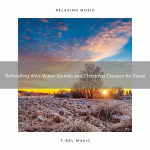 Refreshing Wild Water Sounds and Christmas Classics for Sleep - Sound Sleeping