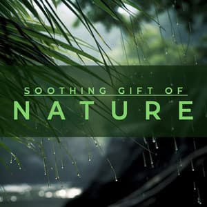 Soothing Gift of Environment - Soundscapes!