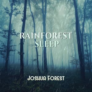 Rainforest Sleep: Soothing and Beautiful Instrumental Music to Help You Sleep - Joshua Forest