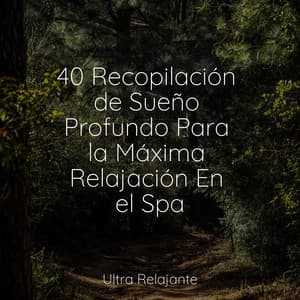 40 Recopilación de Sueño Profundo Para la Máxima Relajación En el Spa - Academia de Meditação Buddha