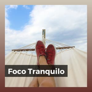 Foco Tranquilo - Ruído Ambiente