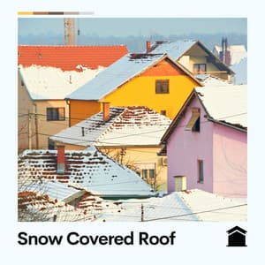 Snow Covered Roof - The Background Noise Company