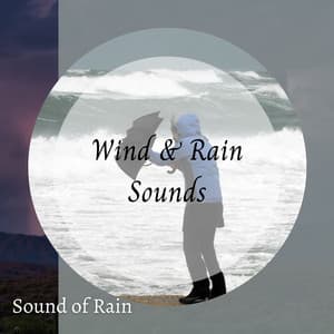 Sound of Rain: Wind & Rain Sounds - Relaxing Rain Sounds