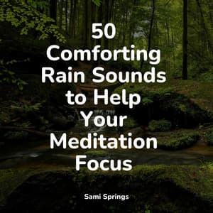 50 Gentle Rain Sounds for Sleep - Sounds of Nature White Noise Sound Effects