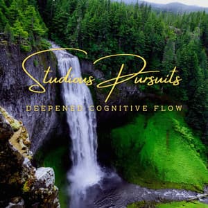MindfulAcuity: Meditative Melodies for Studious Pursuits - The Calm Music Network