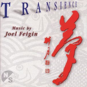 Feigin, J.: Transience / 5 Ecstatic Poems of Kabir / 4 Poems of Linda Pastan / 4 Fantasy Pieces / 8 Japanese Poems - Joel Feigin